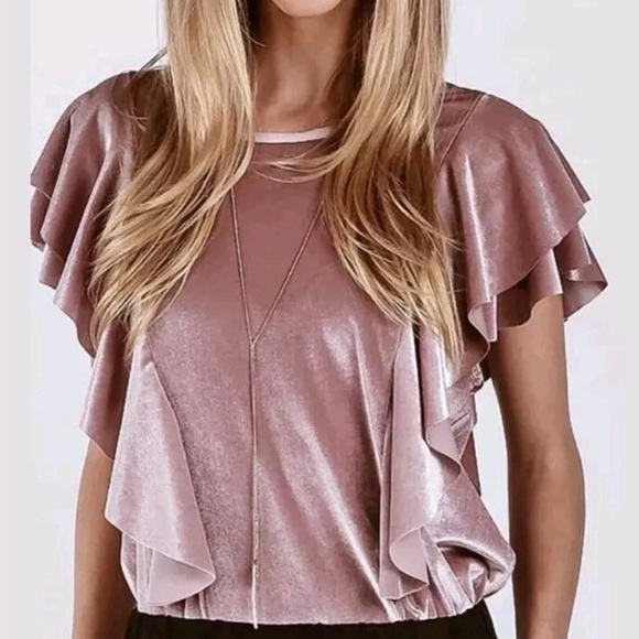 Anthropologie Tops - Anthropologie Blush velvet  On the Road ruffle